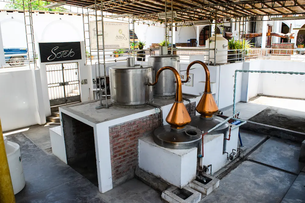 Elaboración de vinos Proceso, etapas y secretos detrás de una buena botella