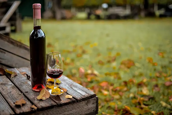 Etapas principales en la elaboración de vinos