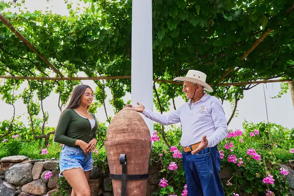 Hospedaje rodeado de viñedos