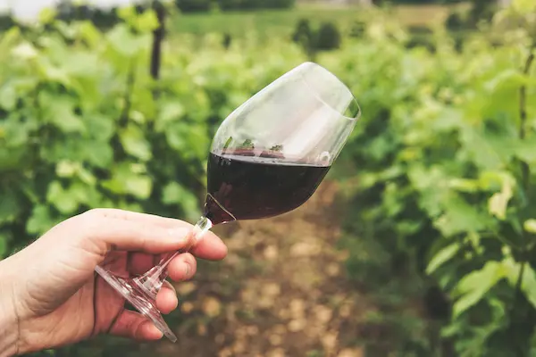 Preguntas frecuentes sobre la elaboración de vinos
