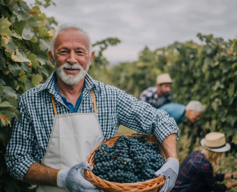 old-smiling-man-winery-1